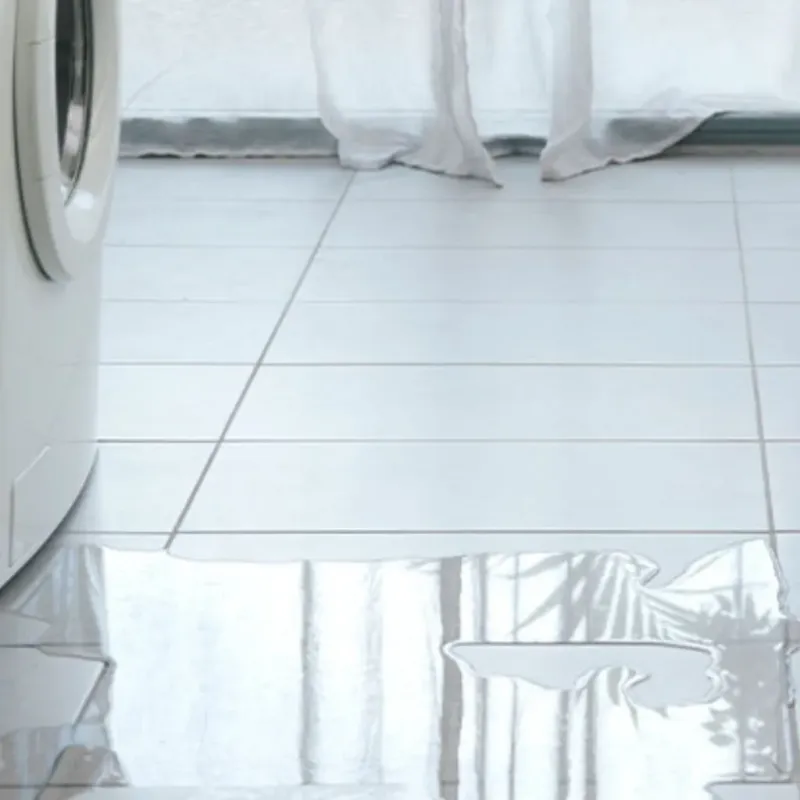 Appliance Leak Cleanup in Agua Dulce, CA