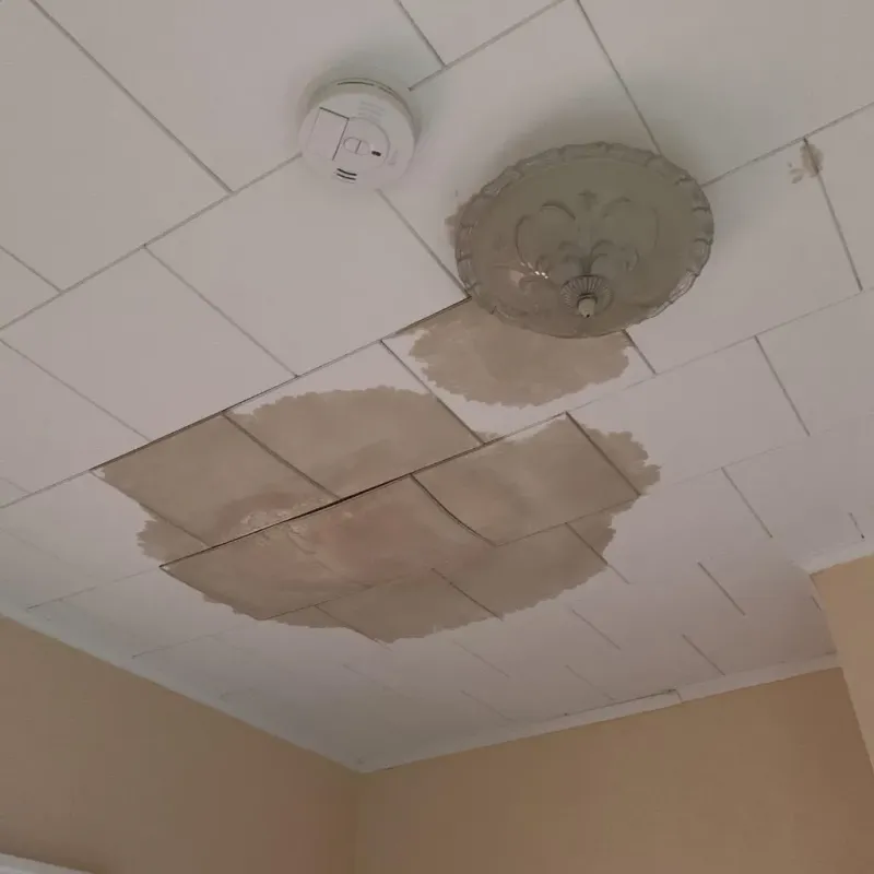 Ceiling Water Damage Repair in Agua Dulce, CA
